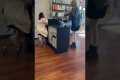 Woman Vows To 'Destroy' Salon Business
