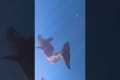Once In A Lifetime Whale Experience
