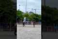 Playing Beach Volleyball With The Dog