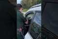 Flying Turtle Shatters Windscreen