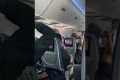 Loose Cat Causes Chaos On Flight