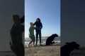 Dog Ruins Photo With Butt Scooting