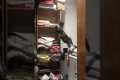 Cat knocks clothes off shelf