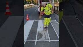 Best Zebra Crossing Painter Ever