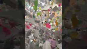 Seniors Epic Celebration Goes Viral