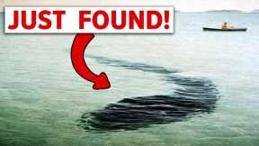 The Hook Island Sea Monster Has Finally Been Identified