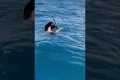 Man Revives Sailfish By Spinning It